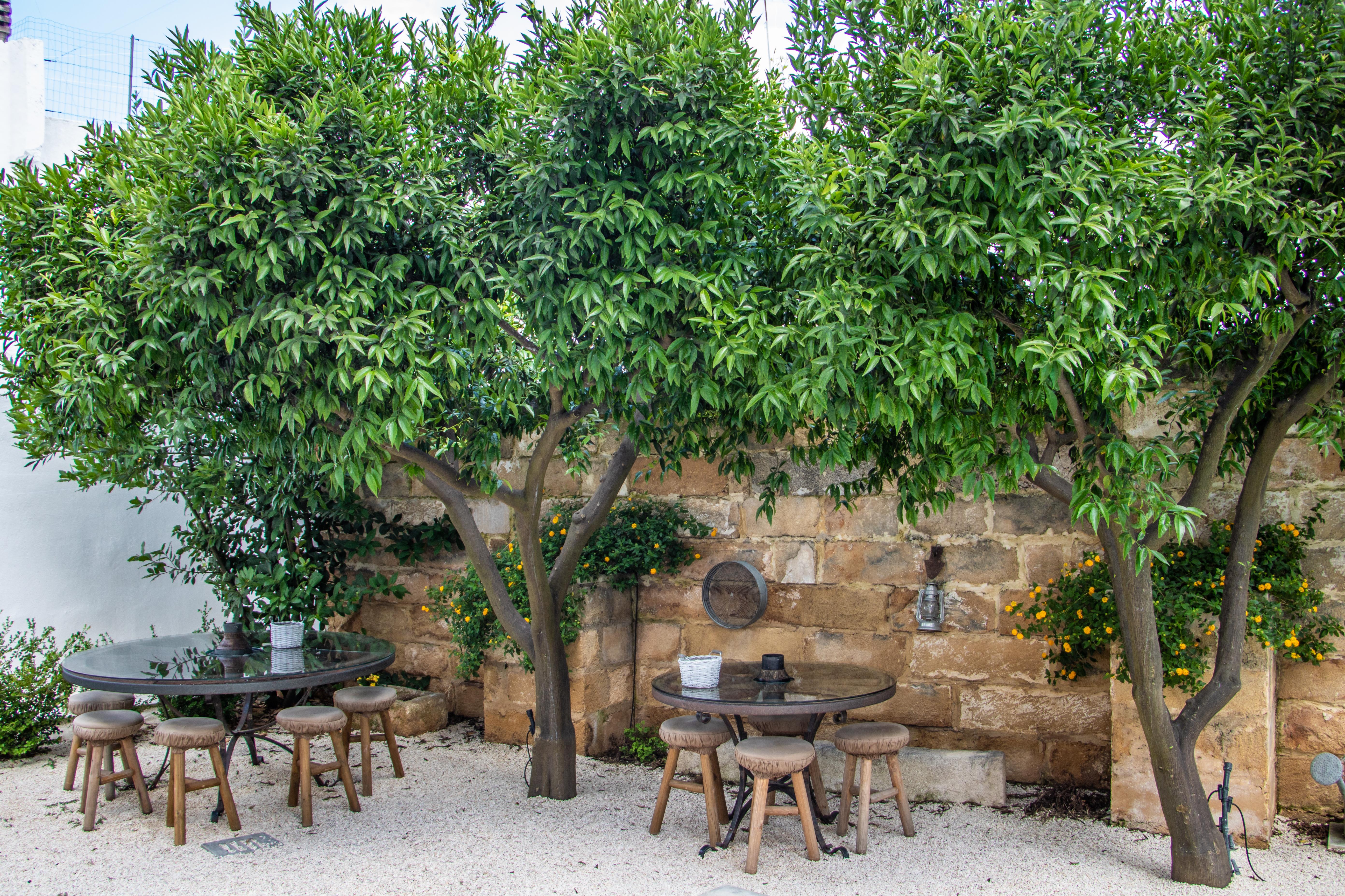 Palazzo Castriota Bed & Breakfast Alezio Exterior photo